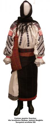mncrcostum hodosa