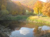 img_0594.jpg