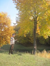 img_0586.jpg