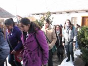 copy of img_4480.jpg