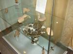 dsc05637.jpg